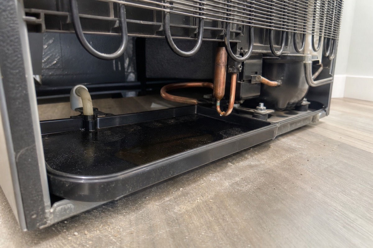 Rear refrigerator drain pan and condenser area with water in the pan