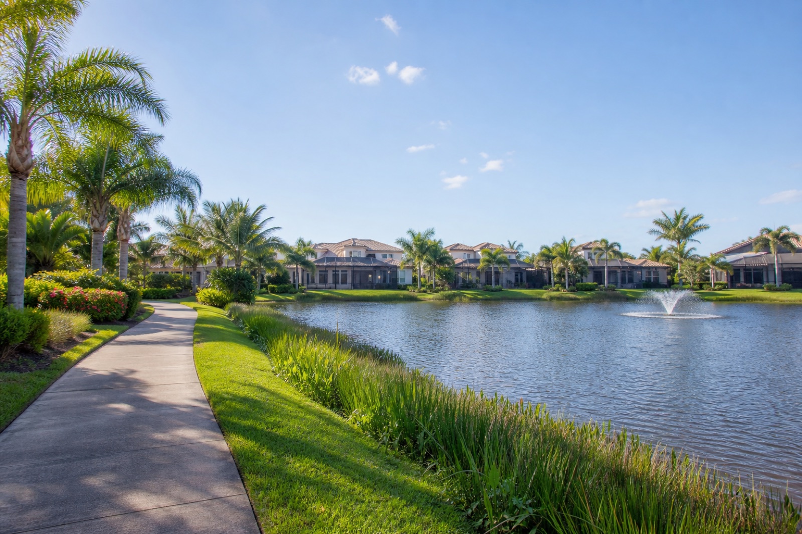 Estero local service area visual