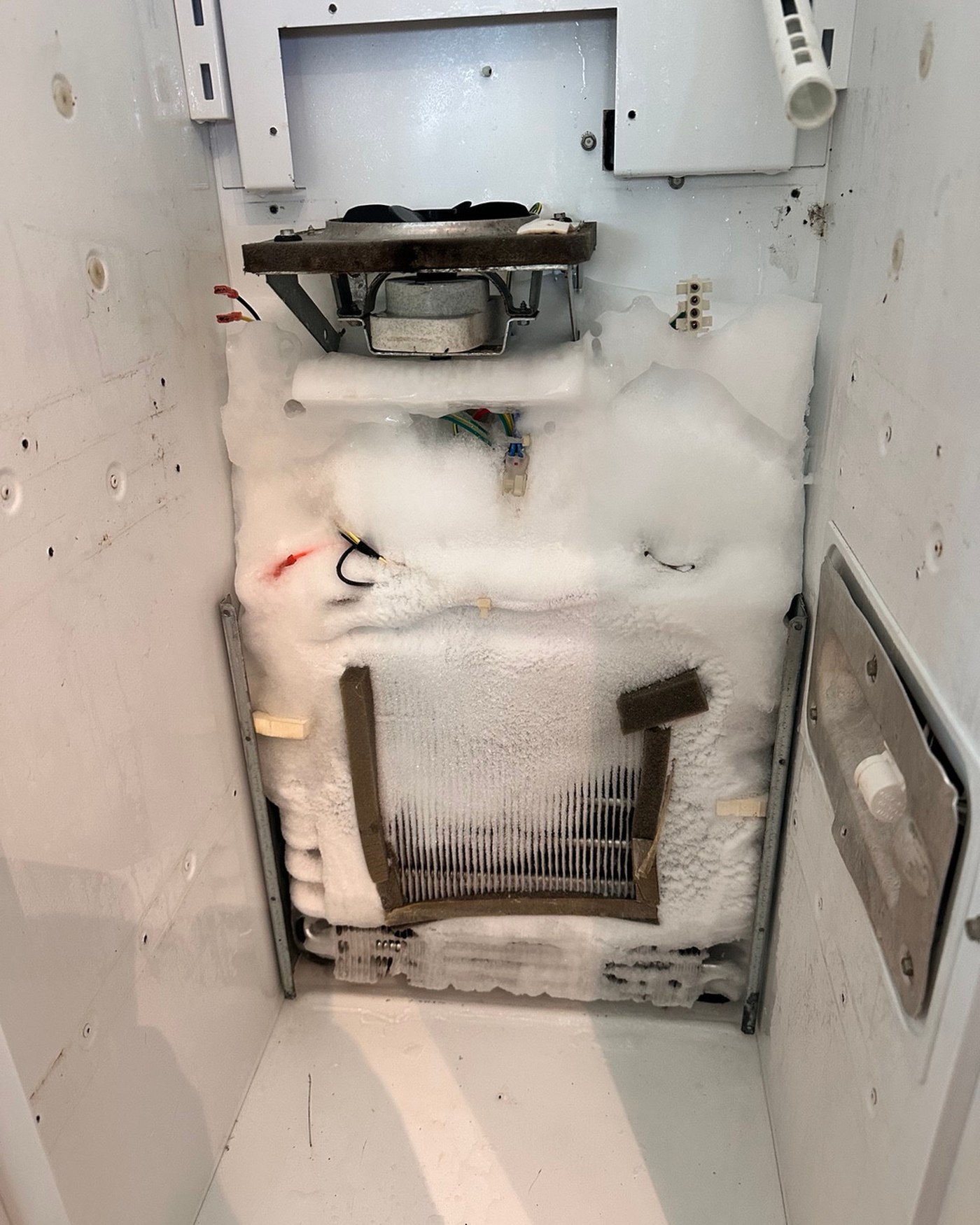 Ice-covered evaporator inside the Viking refrigerator.