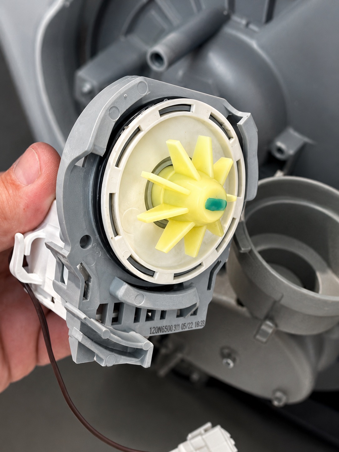 Drain pump inspected during Whirlpool WDT970SAHS1 dishwasher drain testing in Fort Myers