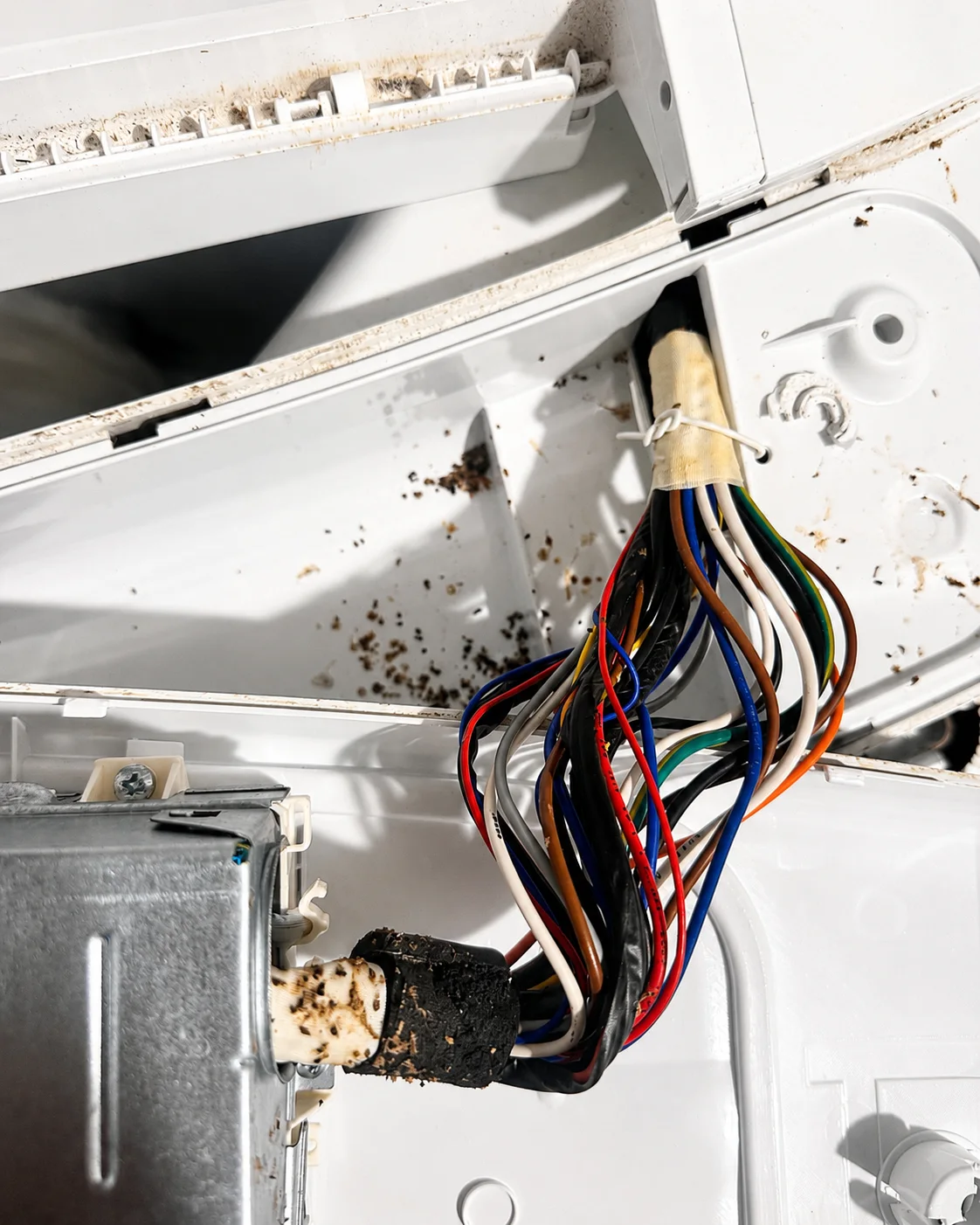 LG washer control area wiring with insect contamination found during Sanibel diagnosis